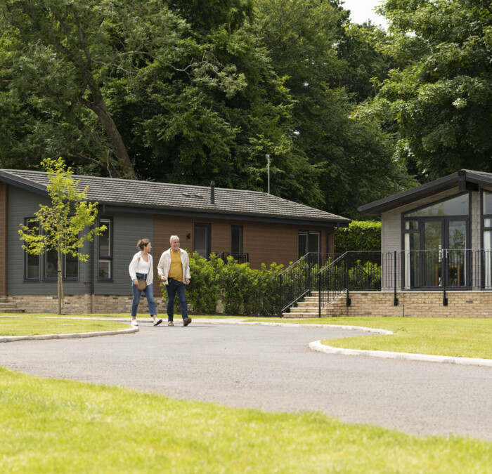 Couple walking through park long shot Square