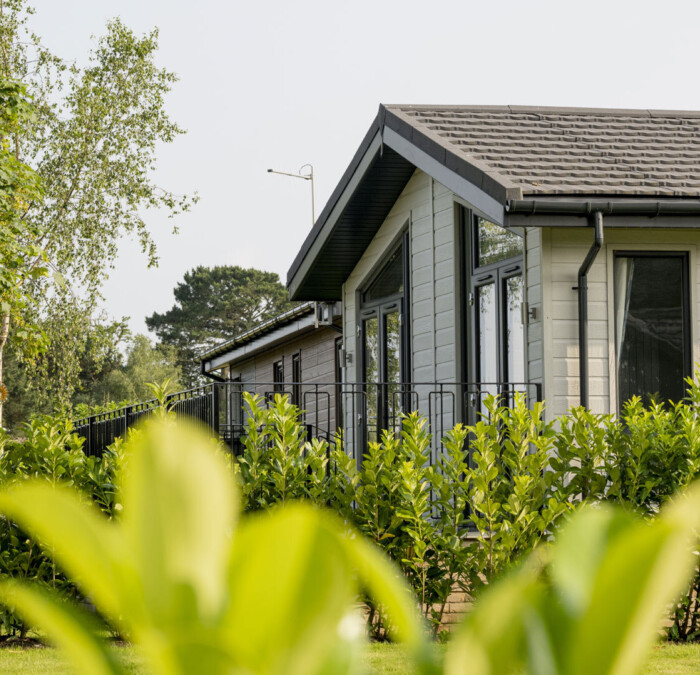 Lodge through blurry leaves Square