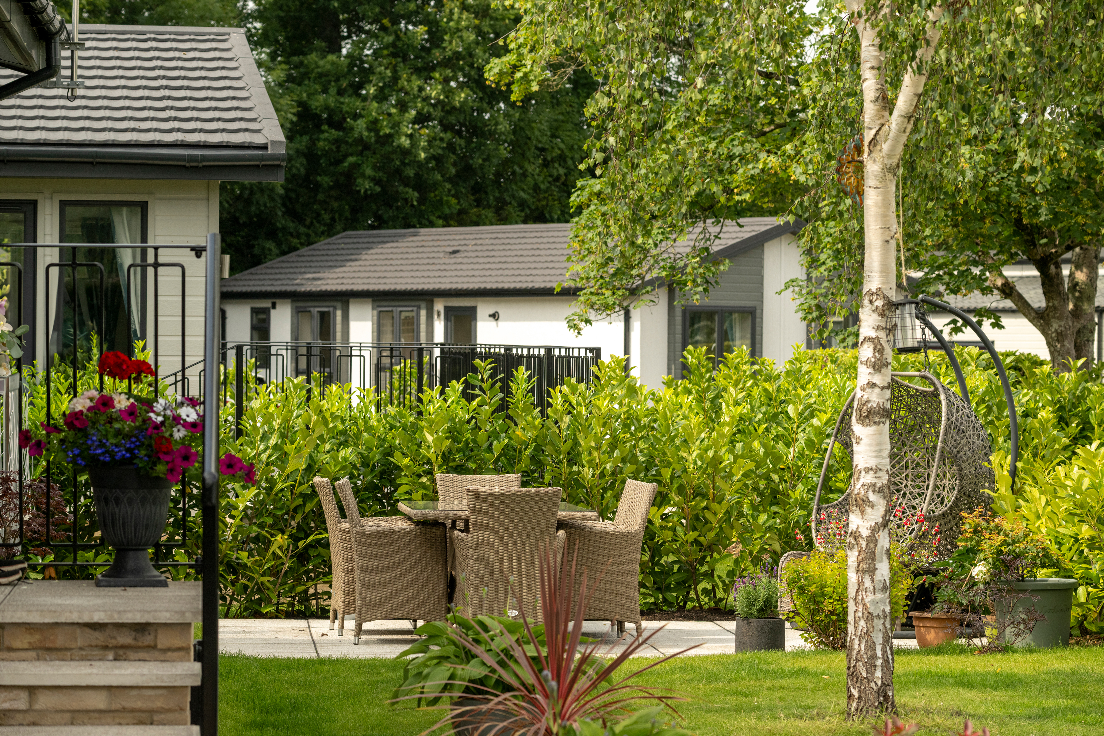 Garden laid to lawn with patio area and dining furniture with a swing seat, surrounded by green hedging and a silver birch tree