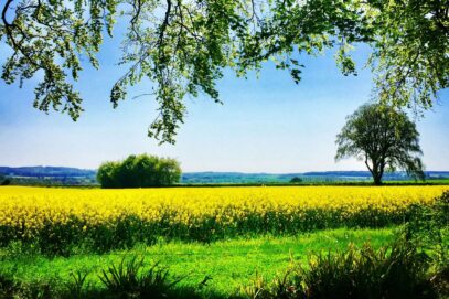 A day in wimborne minster blog photo min