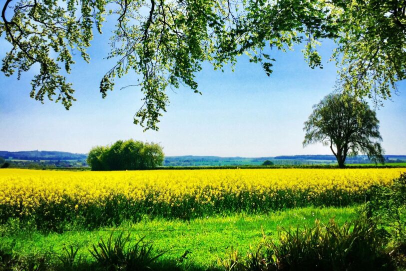 A day in wimborne minster blog photo min