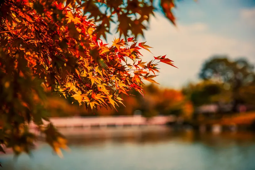 Autumn Events