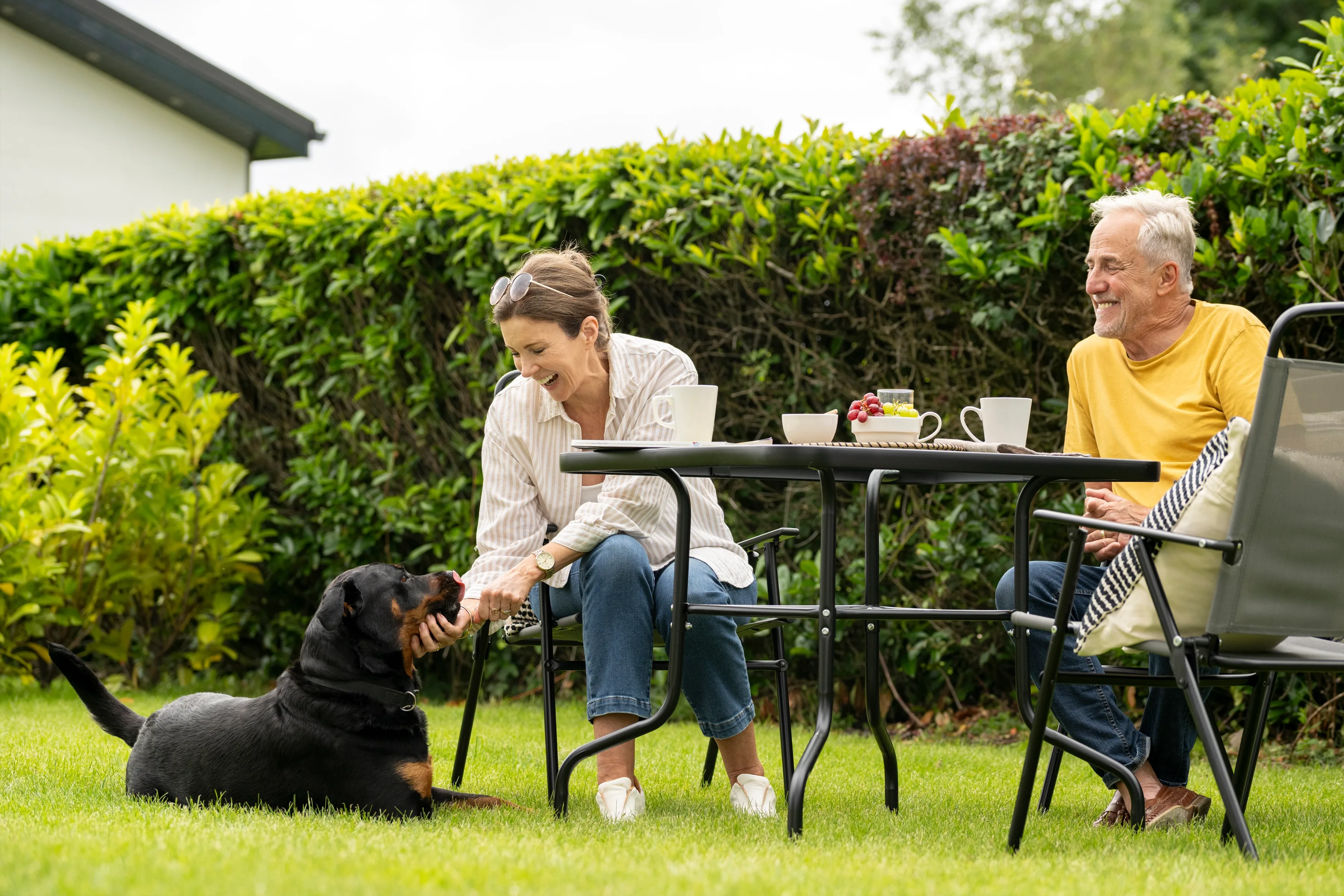 Dog friendly park