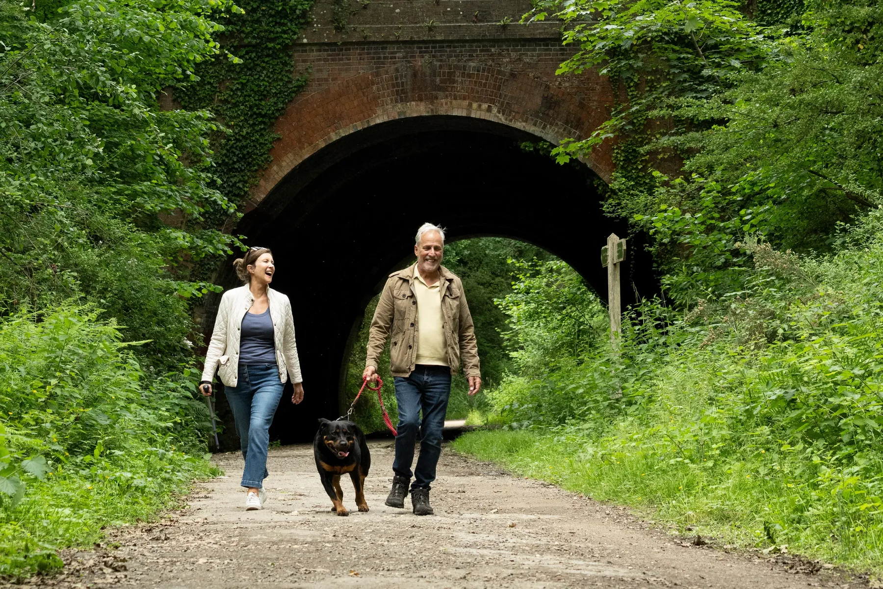 Dog walk in Wimborne