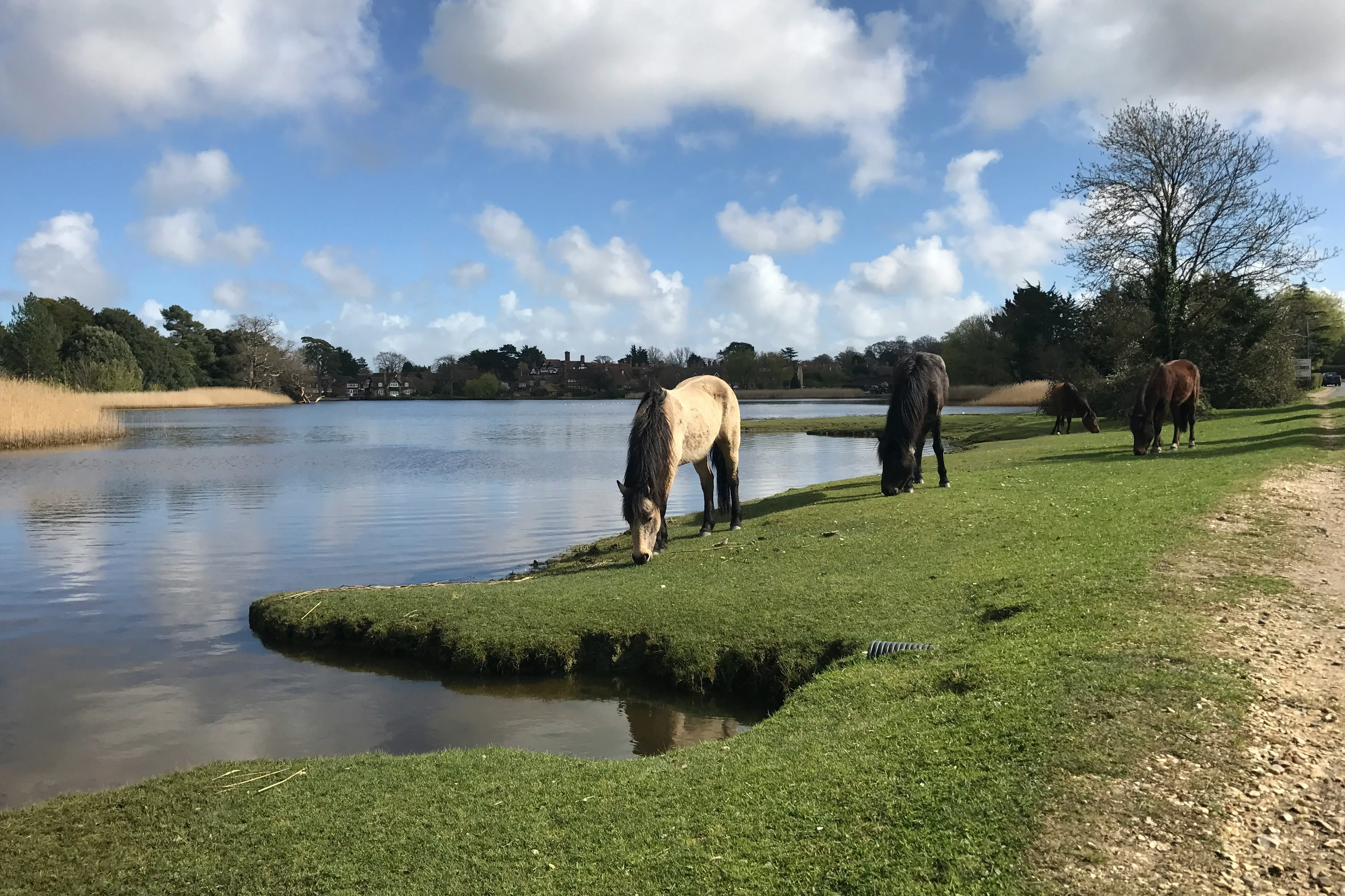 Beaulieu river