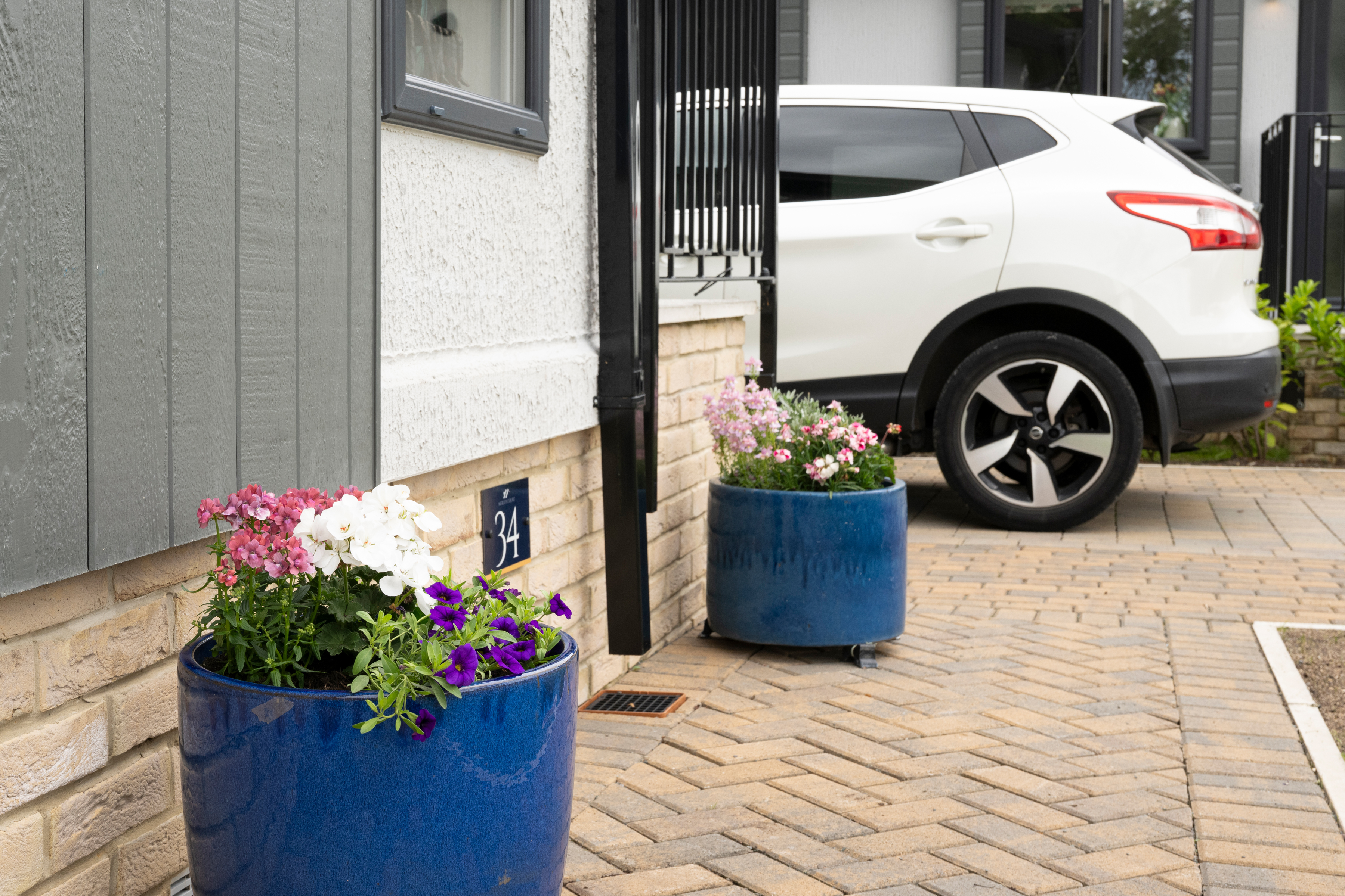 Potted plants Potted plants