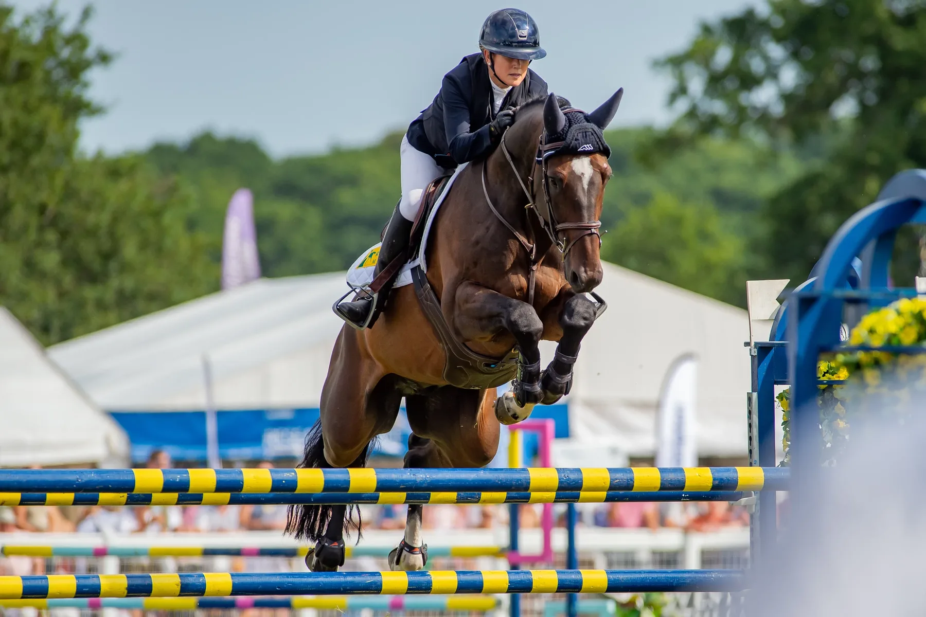 Summer events near Merley Court show jumping