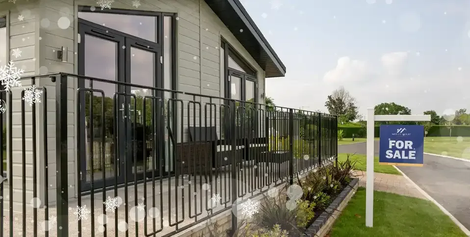 New Year Offer Offer block background