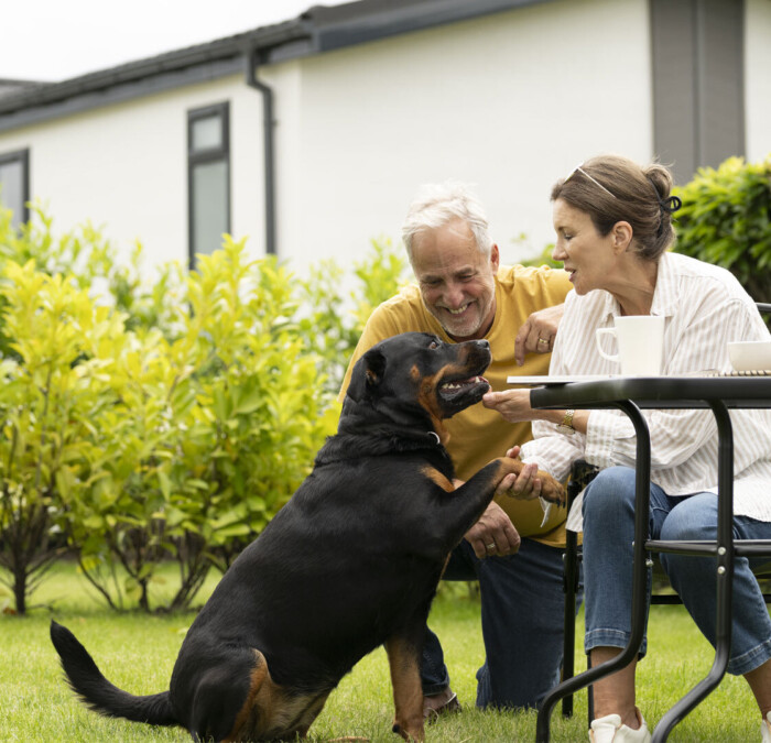 Couple with dog at table Square
