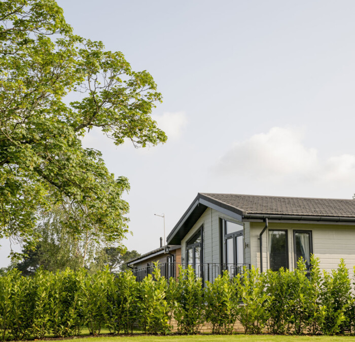 Privacy hedging Square