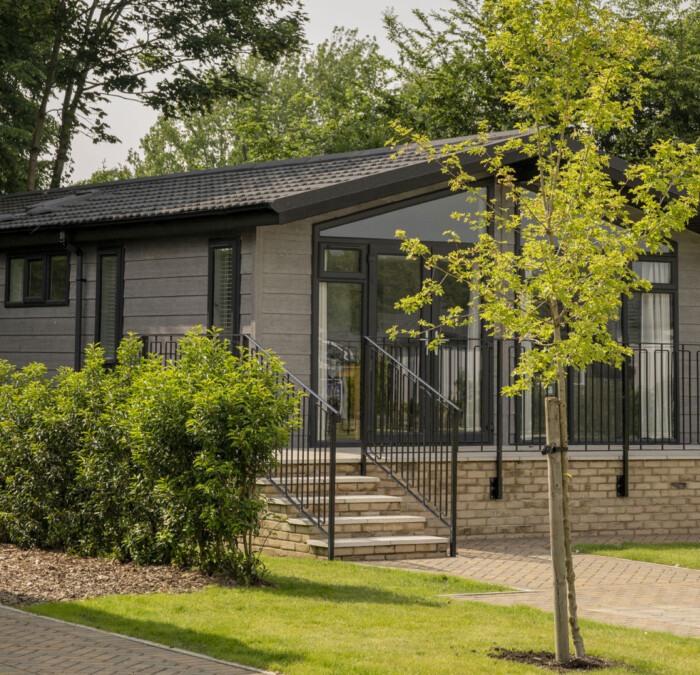 Lodge behind tree Square